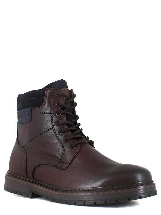 Enrico ботинки 2562-380 цвет 162 коричне